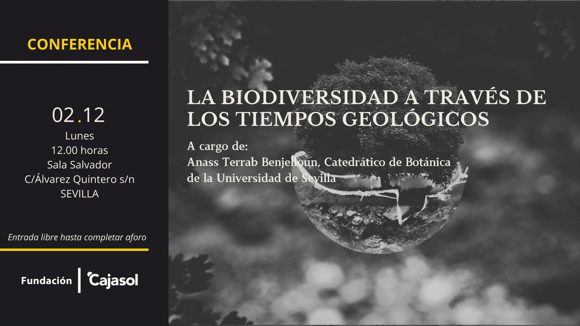 Conferencia La Biodiversidad A Trav S De Los Tiempos Geol Gicos