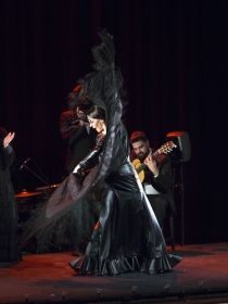 Jueves Flamencos de la Fundación Cajasol en Sevilla: Lucía Álvarez 'La Piñona' (11) • <a style="font-size:0.8em;" href="http://www.flickr.com/photos/129072575@N05/41273047530/" target="_blank">View on Flickr</a>