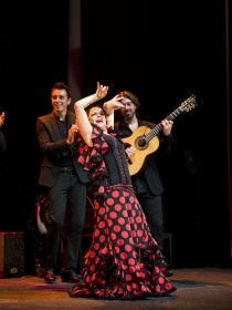 Jueves Flamencos de la Fundación Cajasol en Sevilla: María Moreno (5) • <a style="font-size:0.8em;" href="http://www.flickr.com/photos/129072575@N05/48956428212/" target="_blank">View on Flickr</a>