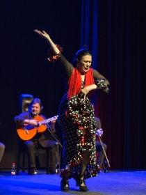 Jueves Flamencos de la Fundación Cajasol en Sevilla: Pepa Montes y Ricardo Miño (21) • <a style="font-size:0.8em;" href="http://www.flickr.com/photos/129072575@N05/47236366941/" target="_blank">View on Flickr</a>