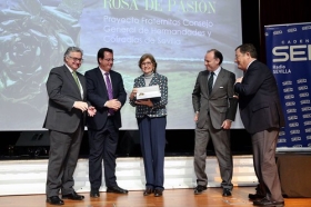 Entrega de la Rosa de Pasión 2018, de Radio Sevilla, en la Fundación Cajasol • <a style="font-size:0.8em;" href="http://www.flickr.com/photos/129072575@N05/40877085732/" target="_blank">View on Flickr</a>