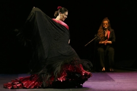 Jueves Flamencos de la Fundación Cajasol en Sevilla: Ángeles Gabaldón (30) • <a style="font-size:0.8em;" href="http://www.flickr.com/photos/129072575@N05/41440115395/" target="_blank">View on Flickr</a>