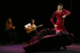 Jueves Flamencos de la Fundación Cajasol en Sevilla: Ángeles Gabaldón (25) • <a style="font-size:0.8em;" href="http://www.flickr.com/photos/129072575@N05/41440114505/" target="_blank">View on Flickr</a>