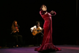 Jueves Flamencos de la Fundación Cajasol en Sevilla: Ángeles Gabaldón (26) • <a style="font-size:0.8em;" href="http://www.flickr.com/photos/129072575@N05/41440114715/" target="_blank">View on Flickr</a>