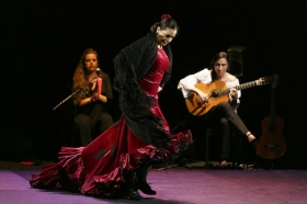 Jueves Flamencos de la Fundación Cajasol en Sevilla: Ángeles Gabaldón (34) • <a style="font-size:0.8em;" href="http://www.flickr.com/photos/129072575@N05/41440116325/" target="_blank">View on Flickr</a>