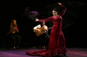 Jueves Flamencos de la Fundación Cajasol en Sevilla: Ángeles Gabaldón (24) • <a style="font-size:0.8em;" href="http://www.flickr.com/photos/129072575@N05/41440114265/" target="_blank">View on Flickr</a>