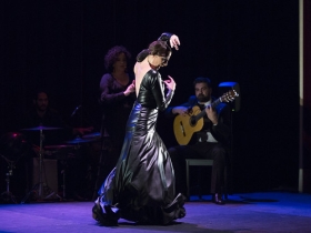 Jueves Flamencos de la Fundación Cajasol en Sevilla: Lucía Álvarez 'La Piñona' (15) • <a style="font-size:0.8em;" href="http://www.flickr.com/photos/129072575@N05/43084404771/" target="_blank">View on Flickr</a>