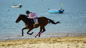 Carreras de Caballos de Sanlúcar 2017: Premio Fundación Cajasol (8) • <a style="font-size:0.8em;" href="http://www.flickr.com/photos/129072575@N05/36625855146/" target="_blank">View on Flickr</a>