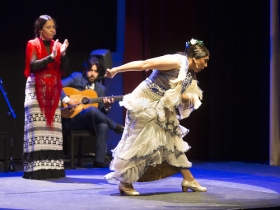 Jueves Flamencos 2019 de la Fundación Cajasol en Sevilla: Fuensanta 'La Moneta' (21) • <a style="font-size:0.8em;" href="http://www.flickr.com/photos/129072575@N05/47970668533/" target="_blank">View on Flickr</a>
