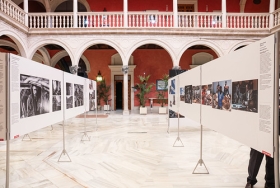 Exposición World Press Photo 2020 en la Fundación Cajasol (20) • <a style="font-size:0.8em;" href="http://www.flickr.com/photos/129072575@N05/50479554761/" target="_blank">View on Flickr</a>