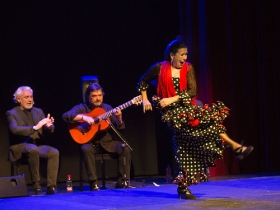 Jueves Flamencos de la Fundación Cajasol en Sevilla: Pepa Montes y Ricardo Miño (18) • <a style="font-size:0.8em;" href="http://www.flickr.com/photos/129072575@N05/40271397823/" target="_blank">View on Flickr</a>