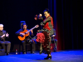 Jueves Flamencos de la Fundación Cajasol en Sevilla: Pepa Montes y Ricardo Miño (20) • <a style="font-size:0.8em;" href="http://www.flickr.com/photos/129072575@N05/47236366831/" target="_blank">View on Flickr</a>