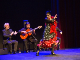 Jueves Flamencos de la Fundación Cajasol en Sevilla: Pepa Montes y Ricardo Miño (19) • <a style="font-size:0.8em;" href="http://www.flickr.com/photos/129072575@N05/47236366731/" target="_blank">View on Flickr</a>