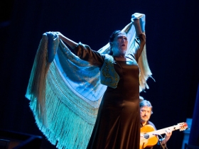 Jueves Flamencos de la Fundación Cajasol en Sevilla: Pepa Montes y Ricardo Miño (15) • <a style="font-size:0.8em;" href="http://www.flickr.com/photos/129072575@N05/40271397633/" target="_blank">View on Flickr</a>