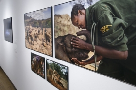 Exposición 'World Press Photo 2018' en la Fundación Cajasol (Sevilla) (10) • <a style="font-size:0.8em;" href="http://www.flickr.com/photos/129072575@N05/41696753102/" target="_blank">View on Flickr</a>