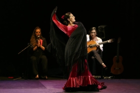 Jueves Flamencos de la Fundación Cajasol en Sevilla: Ángeles Gabaldón (31) • <a style="font-size:0.8em;" href="http://www.flickr.com/photos/129072575@N05/41440115715/" target="_blank">View on Flickr</a>