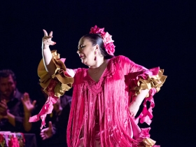 Jueves Flamencos de la Fundación Cajasol en Sevilla: Manuela Carpio (23) • <a style="font-size:0.8em;" href="http://www.flickr.com/photos/129072575@N05/27319121187/" target="_blank">View on Flickr</a>