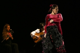 Jueves Flamencos de la Fundación Cajasol en Sevilla: Ángeles Gabaldón (28) • <a style="font-size:0.8em;" href="http://www.flickr.com/photos/129072575@N05/41440115065/" target="_blank">View on Flickr</a>