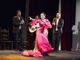 Jueves Flamencos de la Fundación Cajasol: Isabel Bayón (3) • <a style="font-size:0.8em;" href="http://www.flickr.com/photos/129072575@N05/34611956665/" target="_blank">View on Flickr</a>