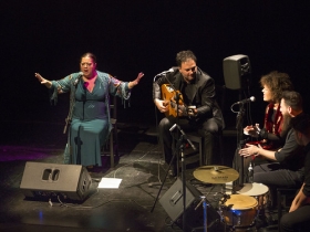 Jueves Flamencos de la Fundación Cajasol: Angelita Montoya (14) • <a style="font-size:0.8em;" href="http://www.flickr.com/photos/129072575@N05/24434080498/" target="_blank">View on Flickr</a>