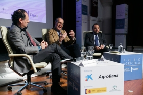 Foro Agrícola: Agricultura y Cambio Climático en la Fundación Cajasol (22) • <a style="font-size:0.8em;" href="http://www.flickr.com/photos/129072575@N05/39759356932/" target="_blank">View on Flickr</a>