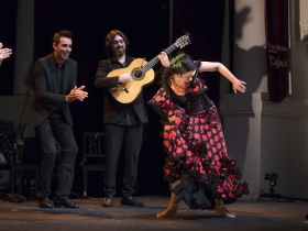 Jueves Flamencos de la Fundación Cajasol en Sevilla: María Moreno (3) • <a style="font-size:0.8em;" href="http://www.flickr.com/photos/129072575@N05/48955687653/" target="_blank">View on Flickr</a>