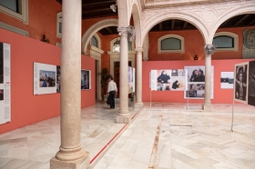 Exposición World Press Photo 2020 en la Fundación Cajasol • <a style="font-size:0.8em;" href="http://www.flickr.com/photos/129072575@N05/50479701912/" target="_blank">View on Flickr</a>