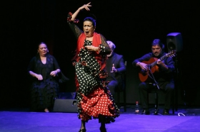 Jueves Flamencos de la Fundación Cajasol en Sevilla: Pepa Montes y Ricardo Miño • <a style="font-size:0.8em;" href="http://www.flickr.com/photos/129072575@N05/40271394993/" target="_blank">View on Flickr</a>