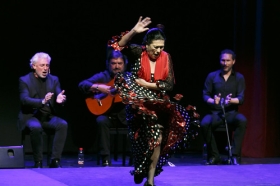 Jueves Flamencos de la Fundación Cajasol en Sevilla: Pepa Montes y Ricardo Miño (31) • <a style="font-size:0.8em;" href="http://www.flickr.com/photos/129072575@N05/47236365091/" target="_blank">View on Flickr</a>