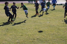 Mundialito de Navidad 2018-2019 de la Fundación Cajasol en Córdoba (4) • <a style="font-size:0.8em;" href="http://www.flickr.com/photos/129072575@N05/46669218572/" target="_blank">View on Flickr</a>