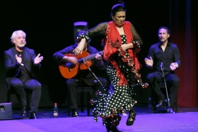 Jueves Flamencos de la Fundación Cajasol en Sevilla: Pepa Montes y Ricardo Miño (32) • <a style="font-size:0.8em;" href="http://www.flickr.com/photos/129072575@N05/47236365381/" target="_blank">View on Flickr</a>