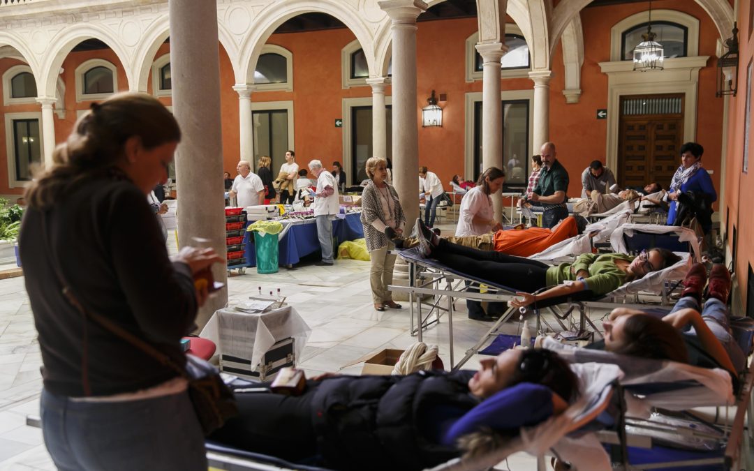 Maratón de donación de sangre en la sede de la Fundación Cajasol