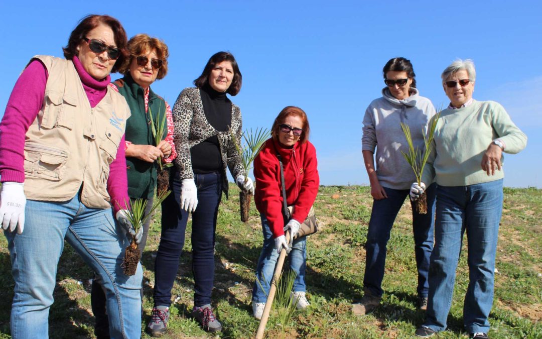 Voluntarios de la Fundación Cajasol reforestan una parcela en Marismas del Odiel con especies autóctonas
