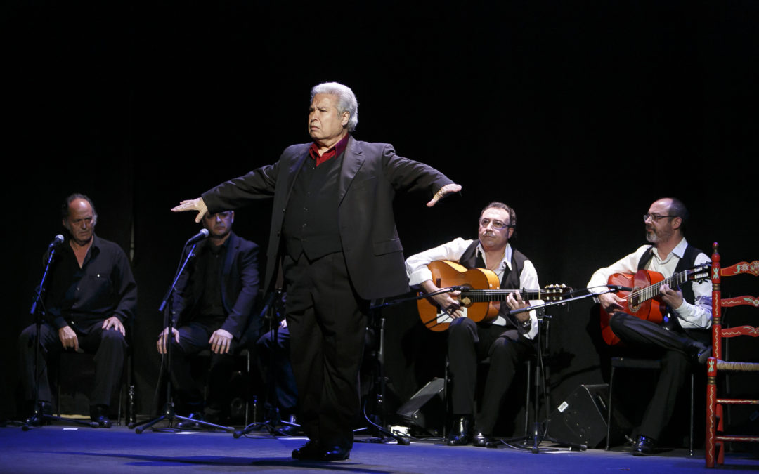 Excelente espectáculo de tablao de José Galván en los Jueves Flamencos