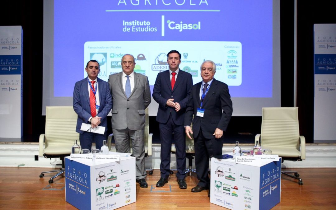 Más de 300 representantes del sector algodonero andaluz analizan sus problemas en el Foro Agrícola desde la Fundación Cajasol