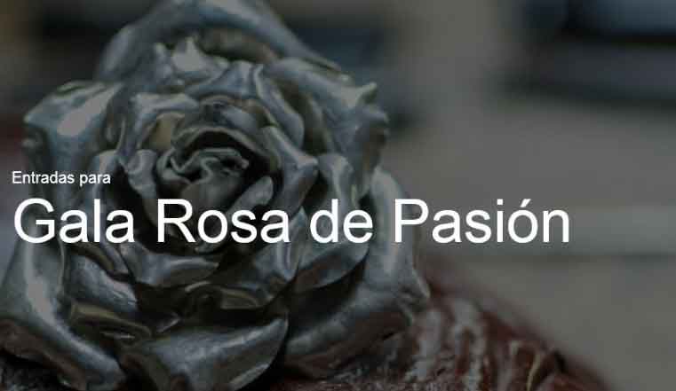 Anuncio de la Gala Rosa de Pasión 2017 en la Fundación Cajasol