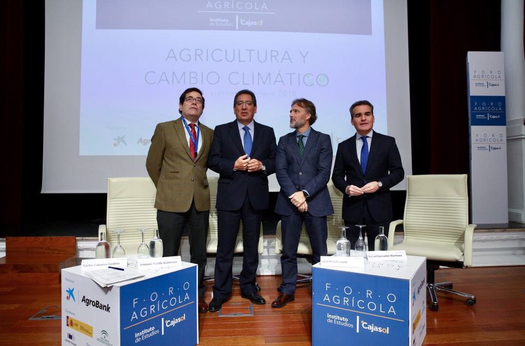 Rodrigo Sánchez, Antonio Pulido, José Fiscal y Rafael Herrador en la inauguración del Foro Agrícola: Agricultura y Cambio Climático en la Fundación Cajasol