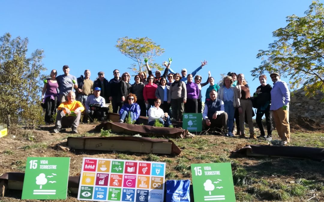 Voluntarios de la Fundación Cajasol en la finca La Contienda