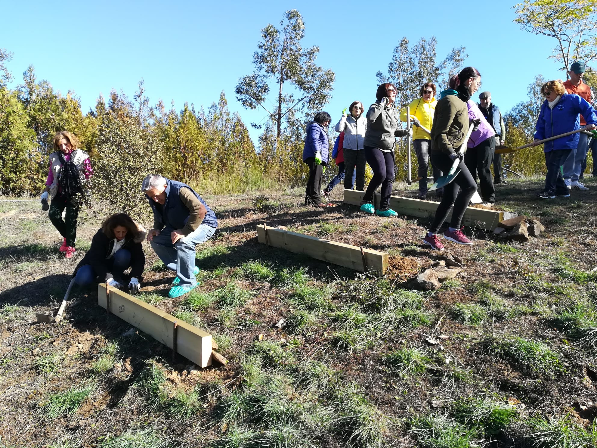 Voluntarios de la Fundación Cajasol en la finca La Contienda