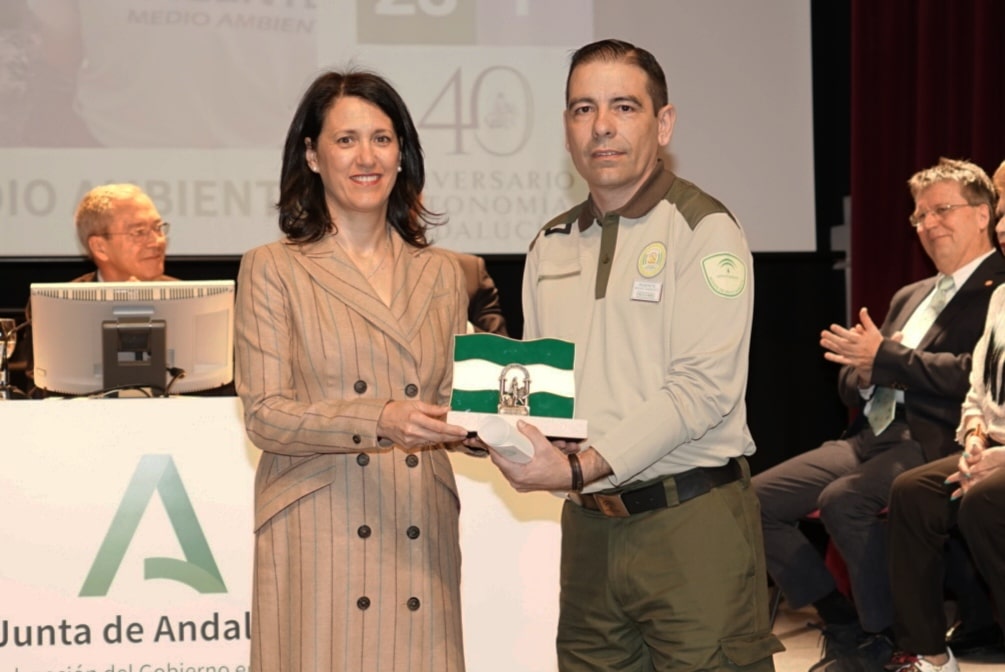 Entrega de las Banderas de Andalucía por parte de la provincia de Sevilla en la Fundación Cajasol