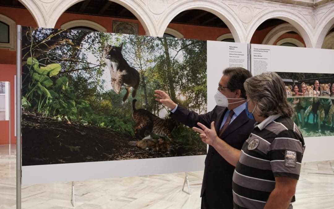 Antonio Pulido, presidente de la Fundación Cajasol, comenta junto a Antonio Pizarro, jefe de fotografía de Diario de Sevilla, la obra por la que ha recibido el tercer premio en la modalidad de Naturaleza