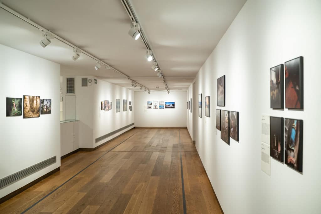 Imagen de la exposición World Press Photo 2021 en la Fundación Cajasol