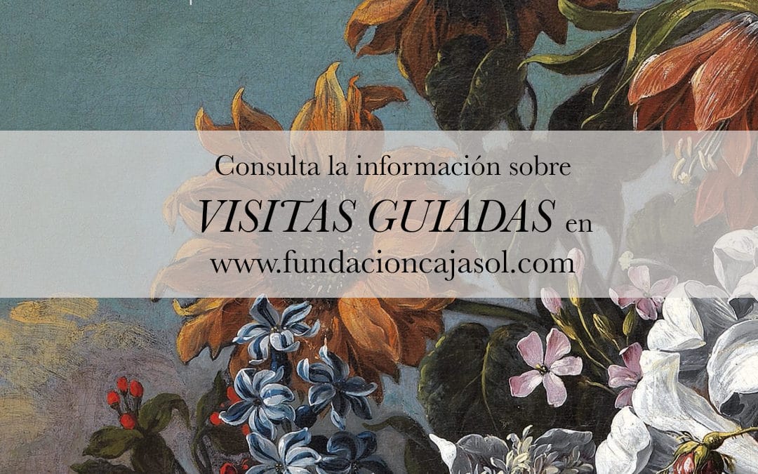 VISITAS GUIADAS GRATUITAS POR EL DÍA DE LOS MUSEOS