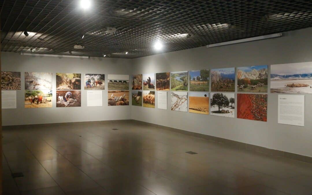 Exposición ‘Cuidando la piel de la Tierra’, en Córdoba