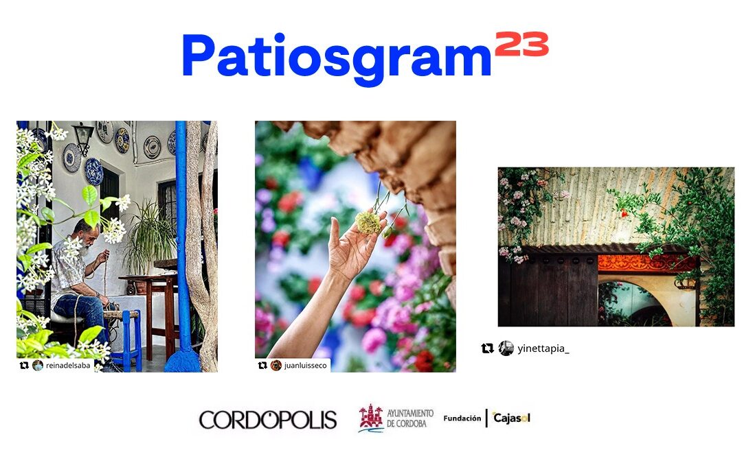 Más de 1.600 fotos y tres ganadores: fallado el concurso de Patiosgram 2023