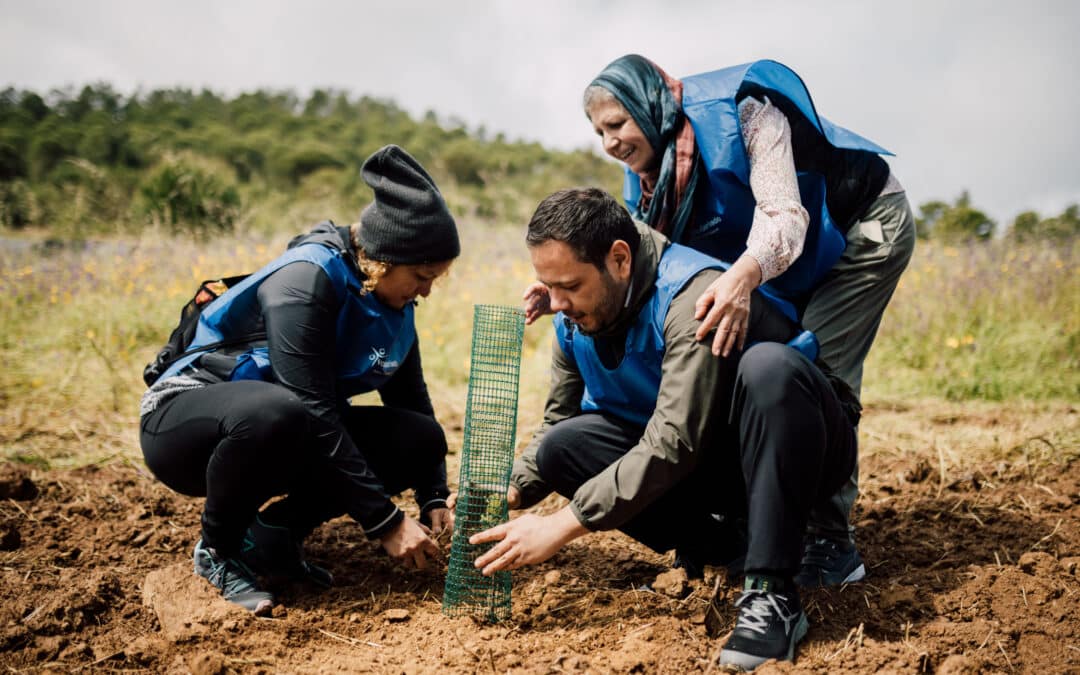 El grupo de Voluntariado de Fundación Cajasol realiza una acción medioambiental en ‘La Contienda’