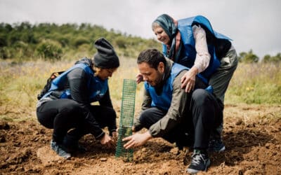 El grupo de Voluntariado de Fundación Cajasol realiza una acción medioambiental en ‘La Contienda’