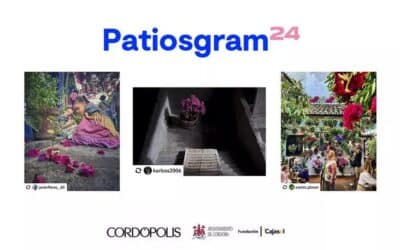 Ganadores de #Patiosgram24