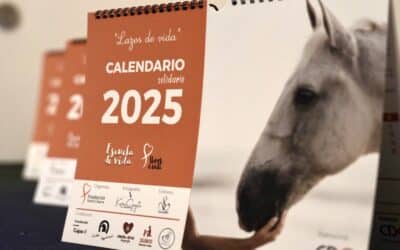 El Calendario Solidario 2025 de la Fundación Sandra Ibarra fue presentado en la Fundación Cajasol