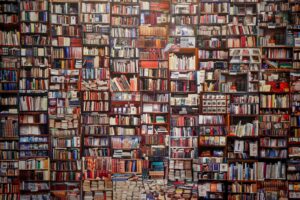 “Antagonía”, exposición de Javier Rego en Córdoba